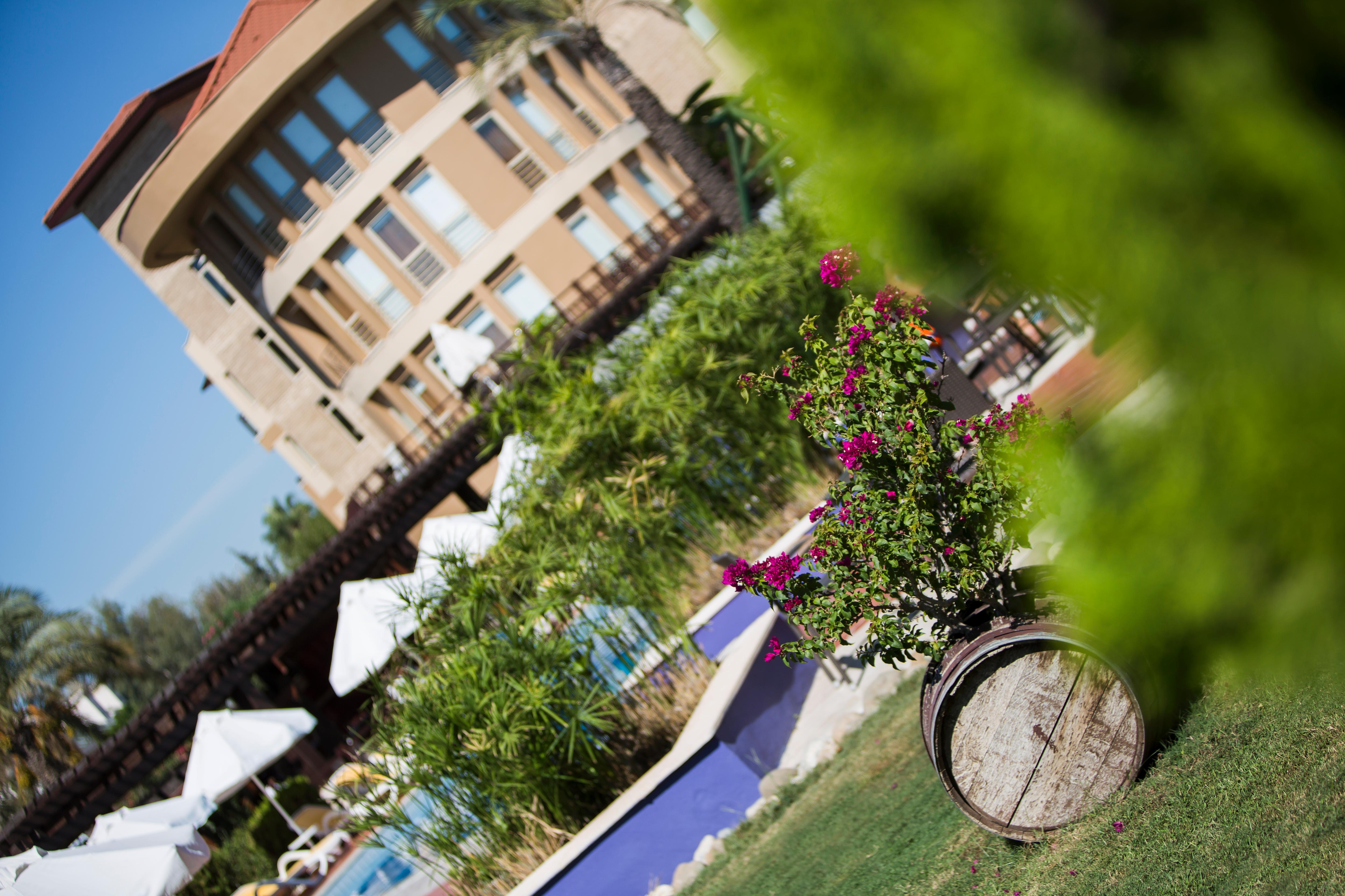 Xanthe Resort & Spa Evrenseki 외부 사진