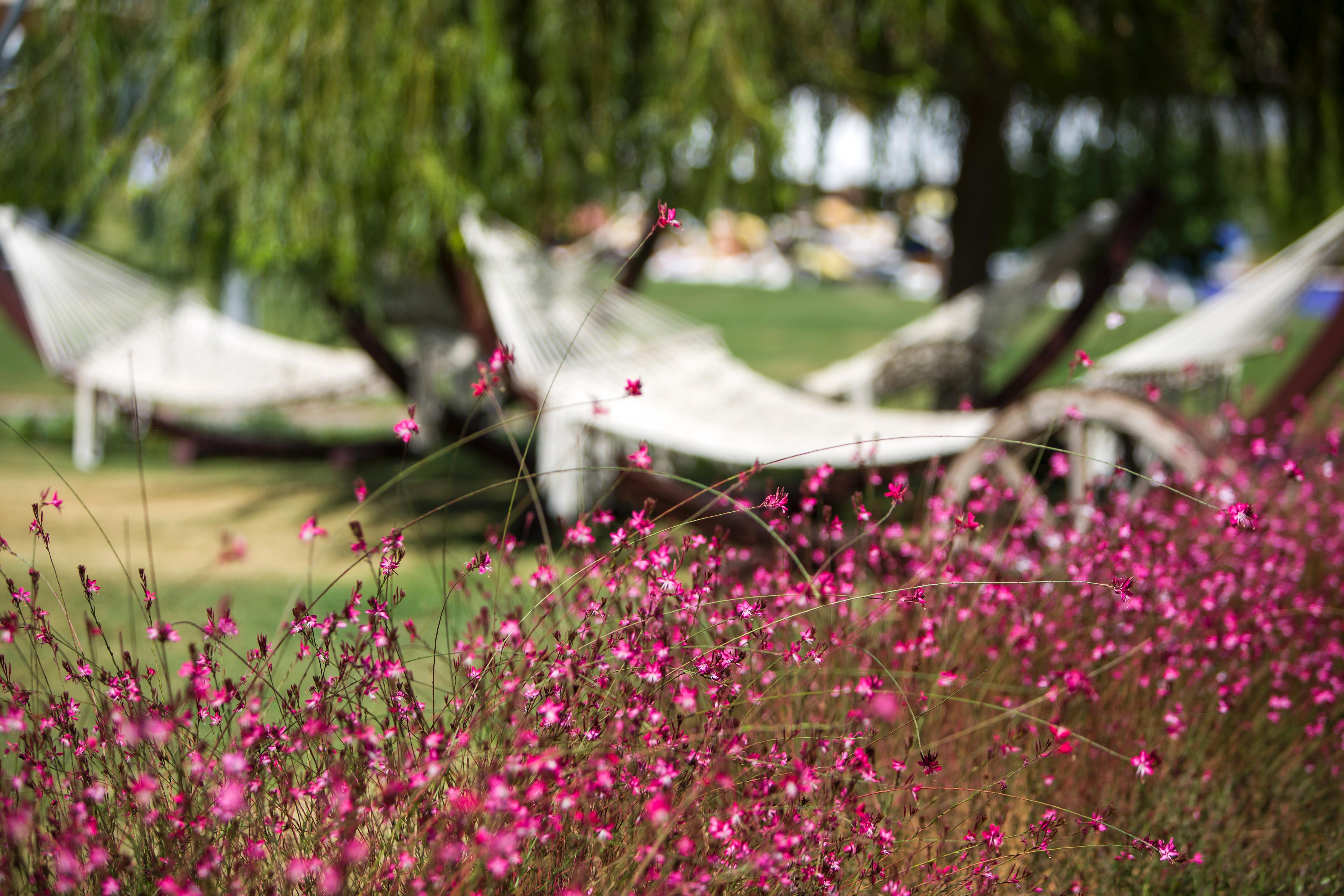 Xanthe Resort & Spa Evrenseki 외부 사진